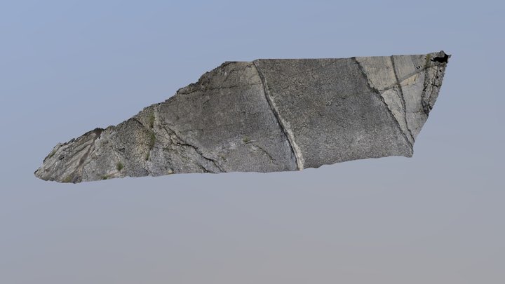 Dalle aux Ammonites (Digne les Bains, France) 3D Model