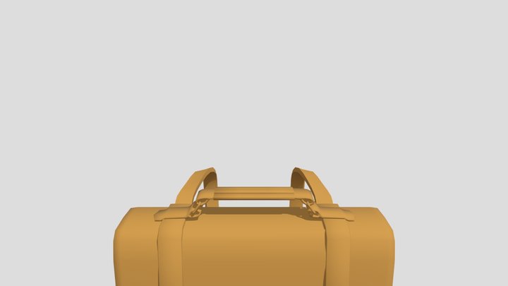 Bag 3D Model