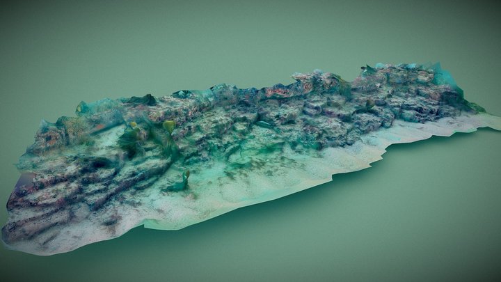 Kimmeridge Reef Wall v3 3D Model