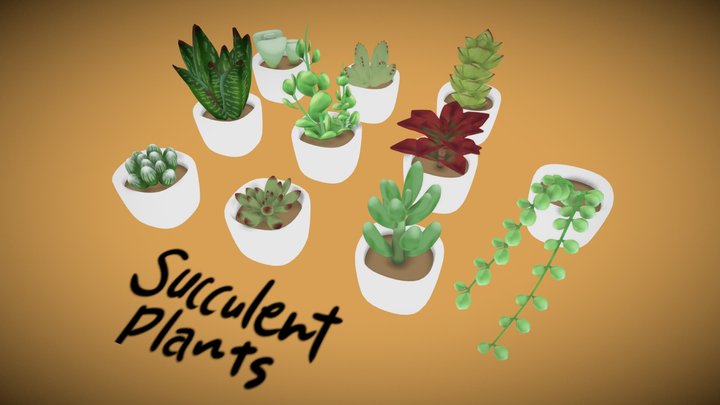 Succulent plants 3D Model