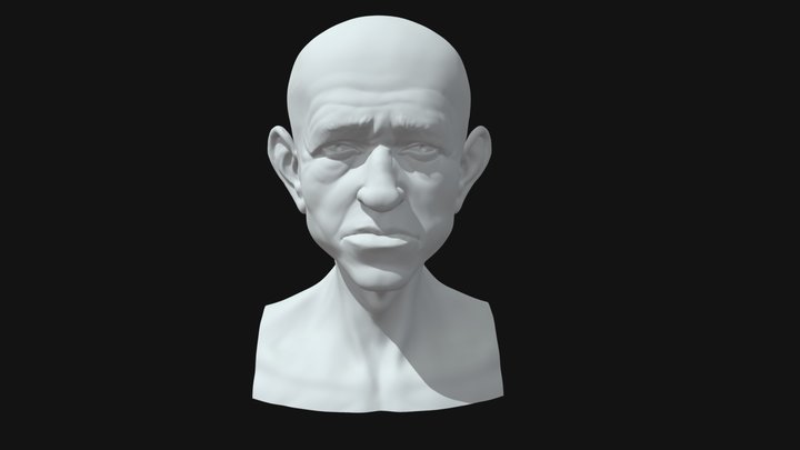 Old Man Head 3D Model