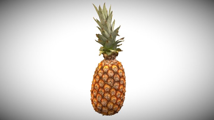 3D Scanned Pineapple 3D Model