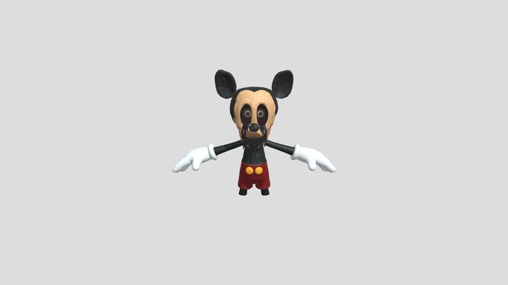 4.0 The Face 3D Model