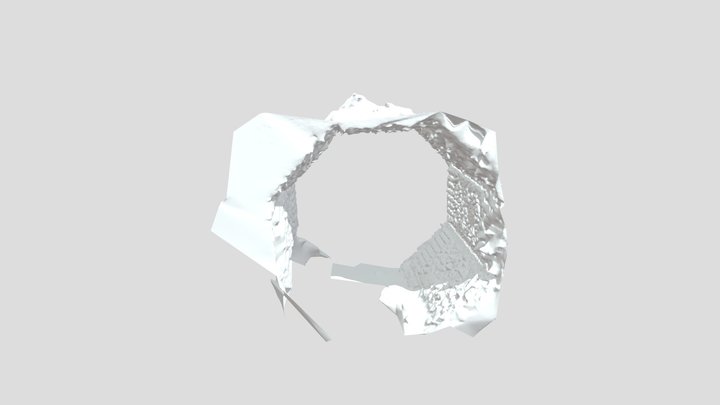 Malla_con_textura_1 3D Model
