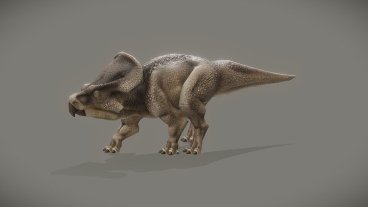 Protoceratops Andrewsi 3D Model