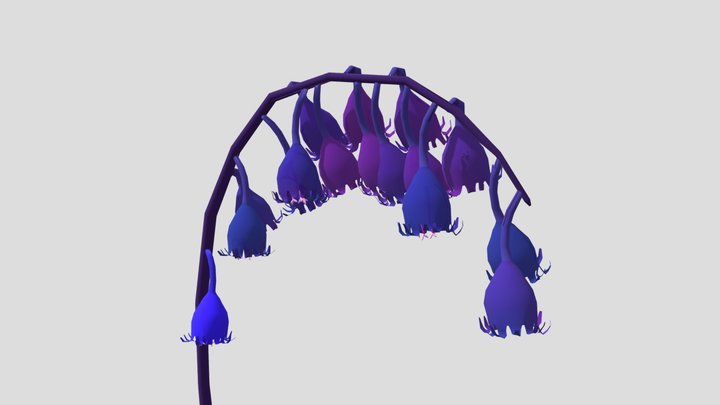 6 3D Model