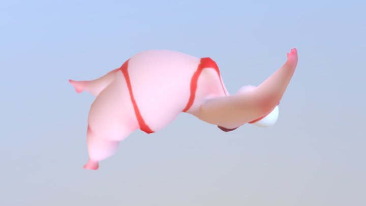 Salsa Swims | Back Stroke 3D Model
