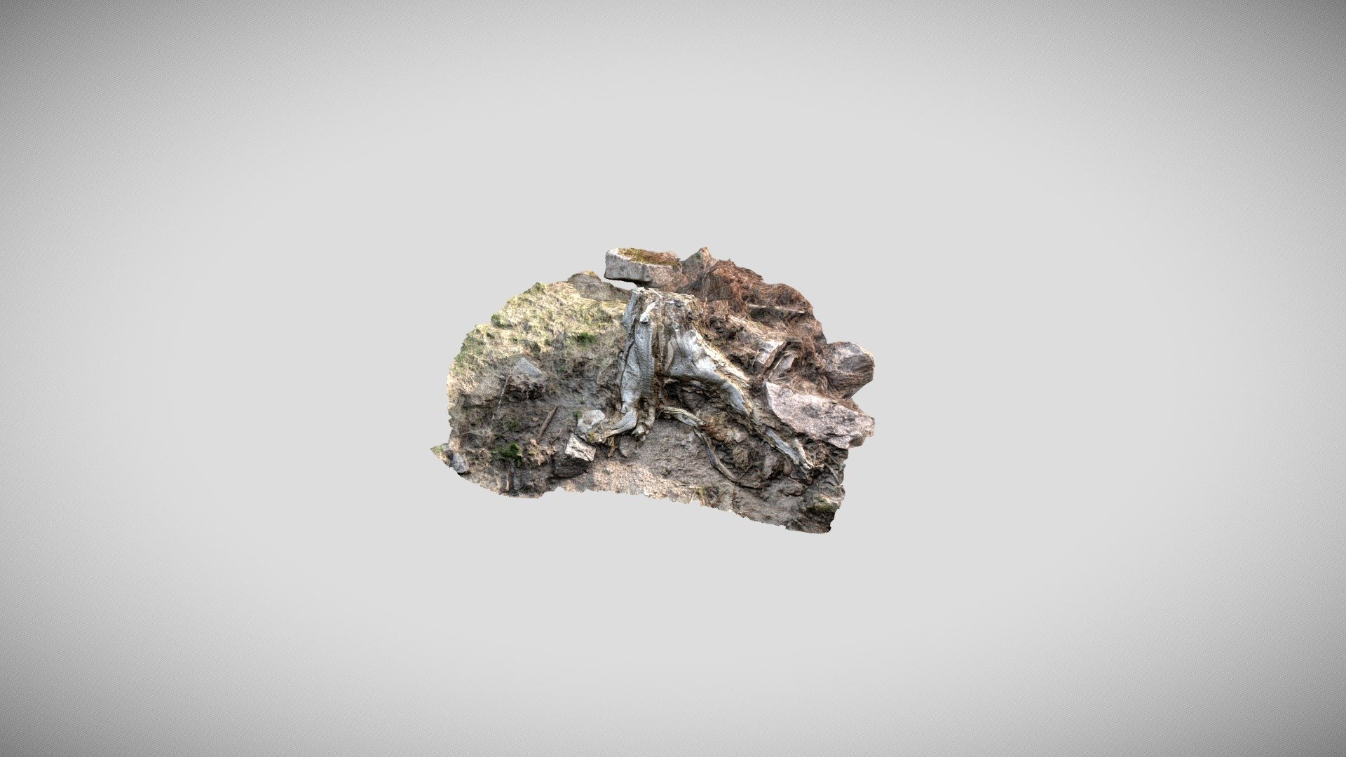 Stump 2