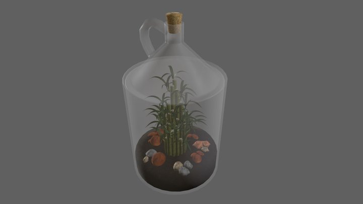 Lucky Bamboo Plant 3D Model