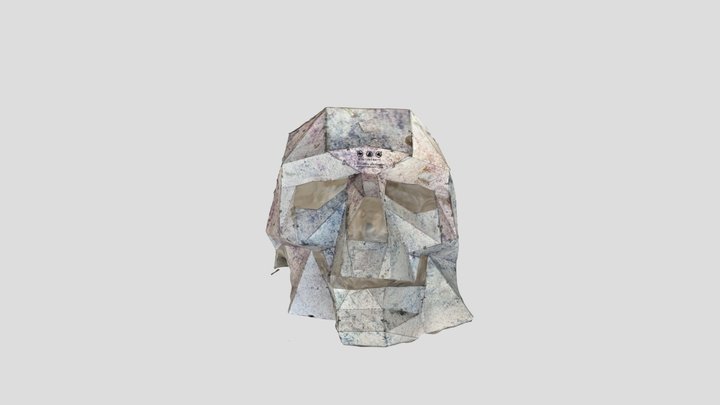 Skull 3D Model