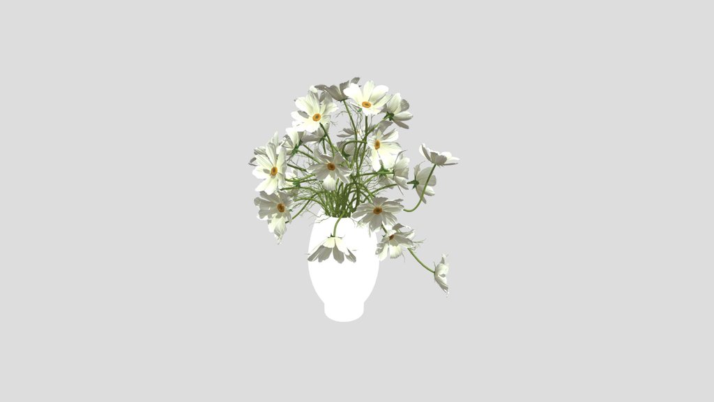 White Cosmos Flower