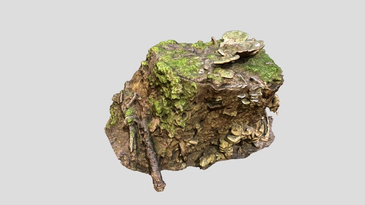 Mossy Tree Stump 3D Model