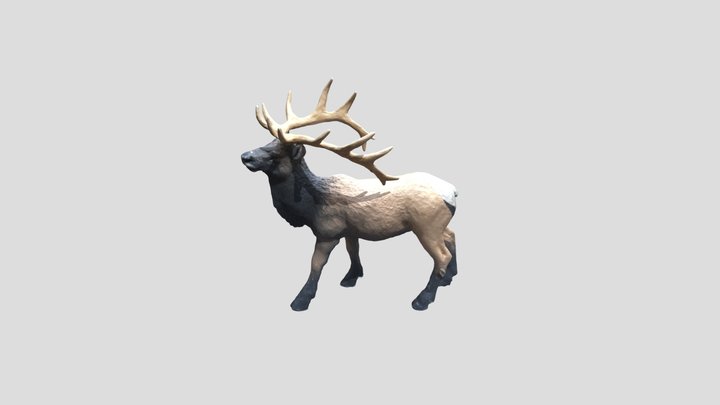 Elk Free 3D Model