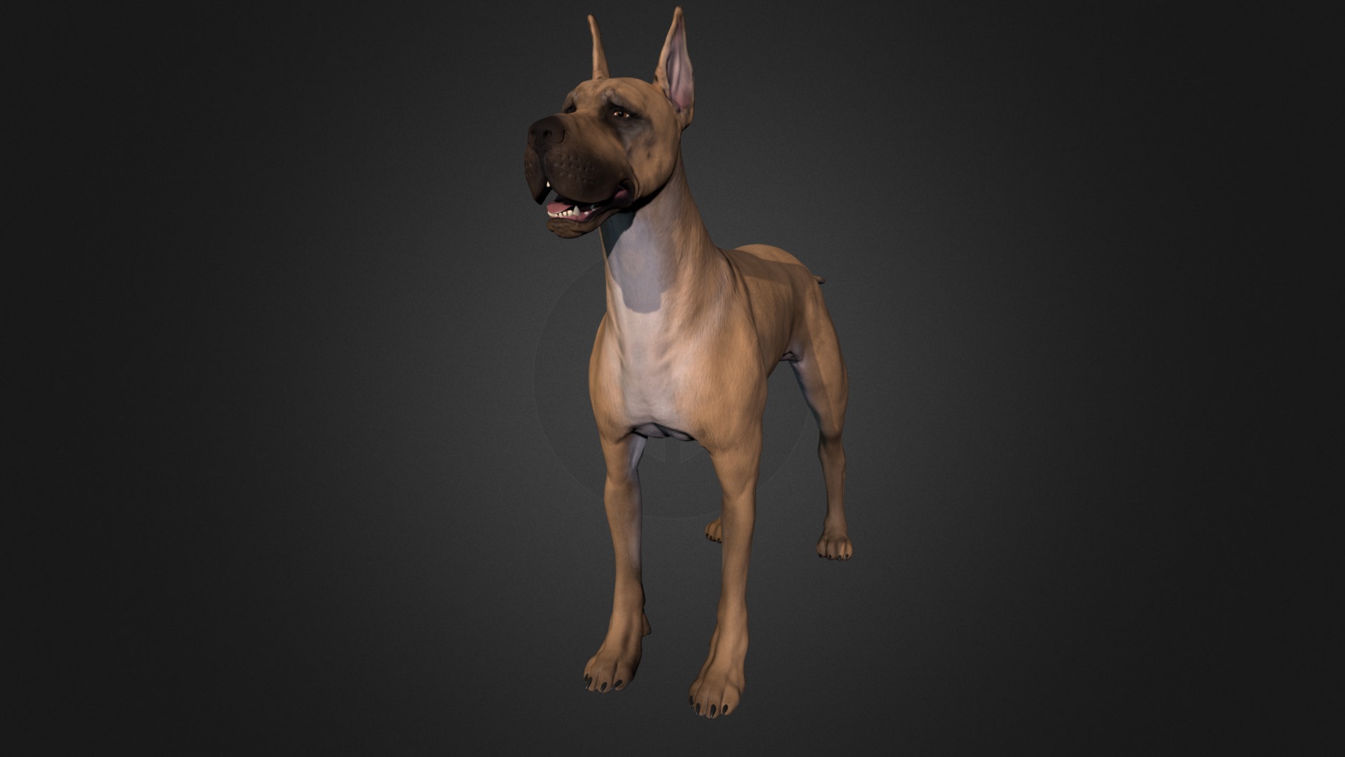 3D model Great Dane - This is a 3D model of the Great Dane. The 3D model is about a dog with a long neck.