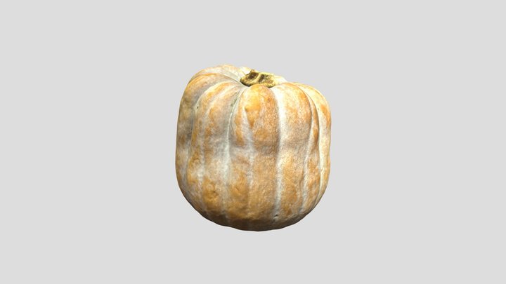 OBJ浅白棕色条纹南瓜Pale white brown streaked pumpkin – Kostenloses 3D-Modell STL