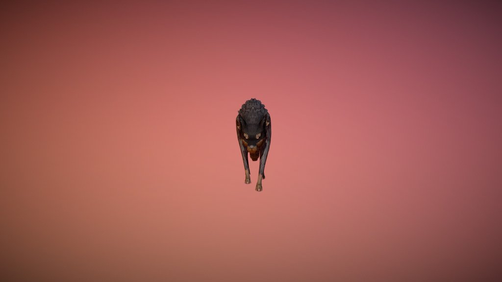 Alpha wolf