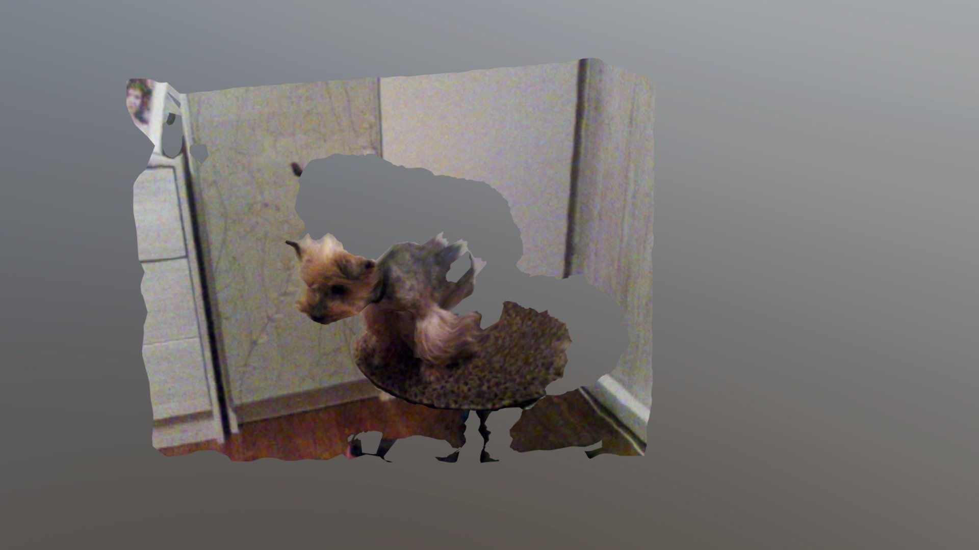 4D video (R200 #08, Totoshka)