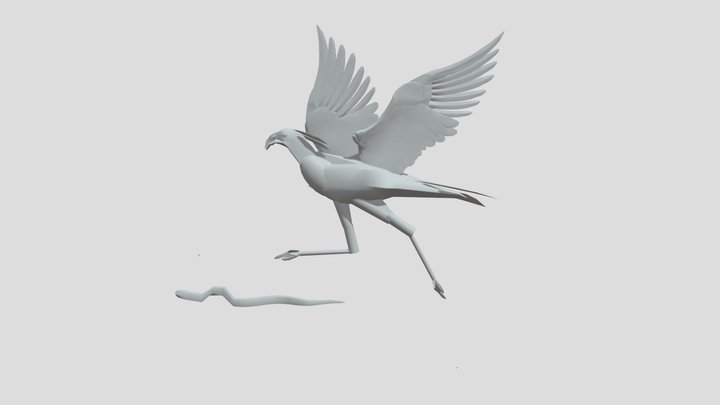 Secretary bird w Snake 3D Model