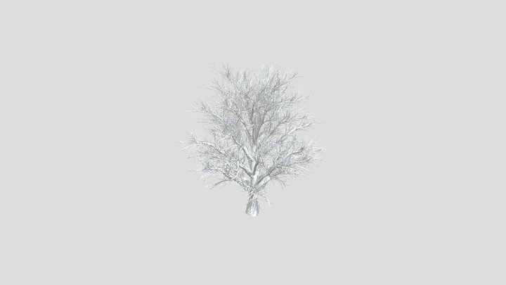 Chestnut Tree - no texture 3D Model