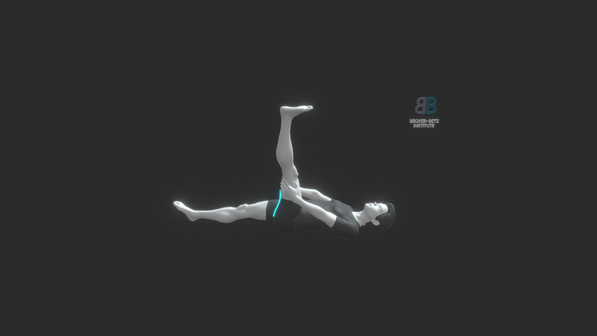 Hamstrings_5_MAN - 3D model by BeckerBetz [eac683d] - Sketchfab