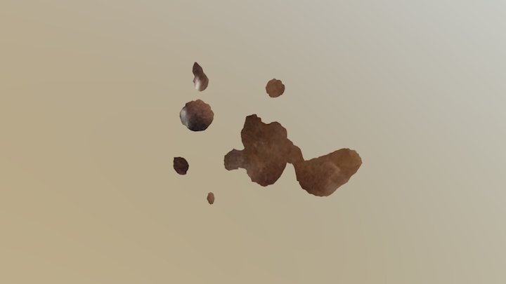 C 3D Model