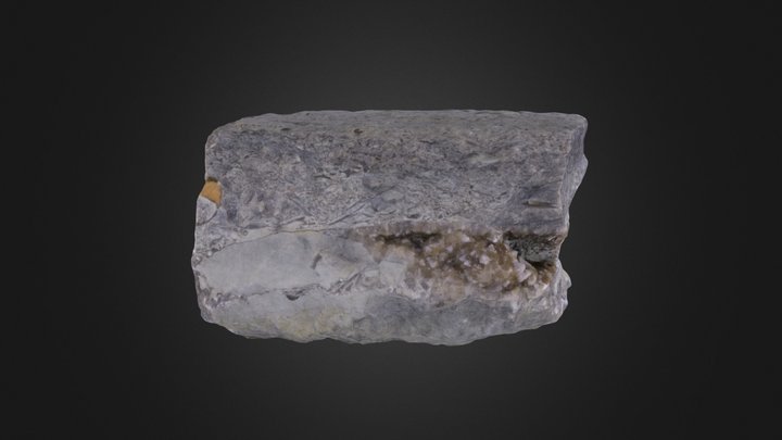 Fossiliferous Limestone – Free 3D Model STL