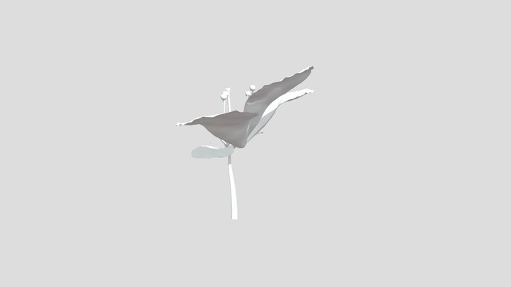 Flowerrrr 3D Model