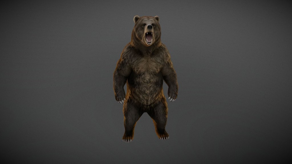 Realistic Alaskan Grizzly Bear -M2.5