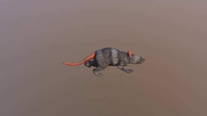 Sneak Rat 3D Model