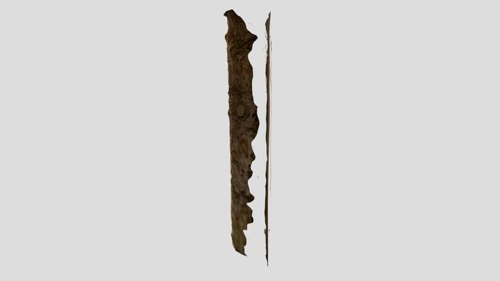 Wieliczka wood 3D Model