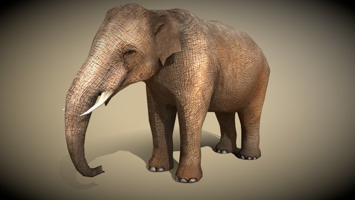 3DRT - Safari animals - Elephant 3D Model