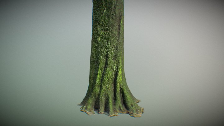 Tree 2 3D Model