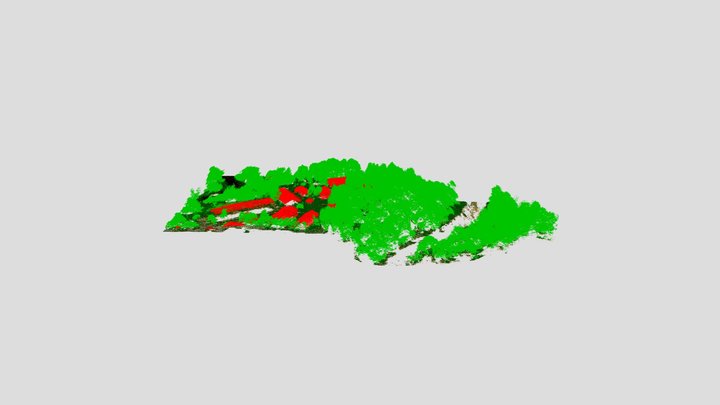Классифицированное облако точек 3D Model