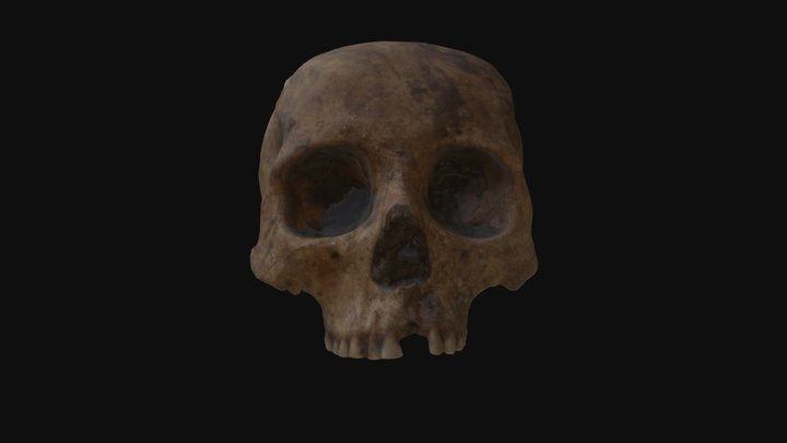 Craneo 32_Tehuacan 3D Model