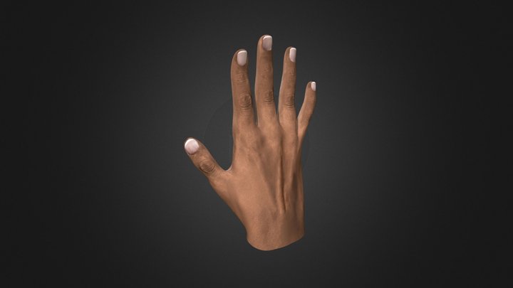 Rigged hand 3D Model