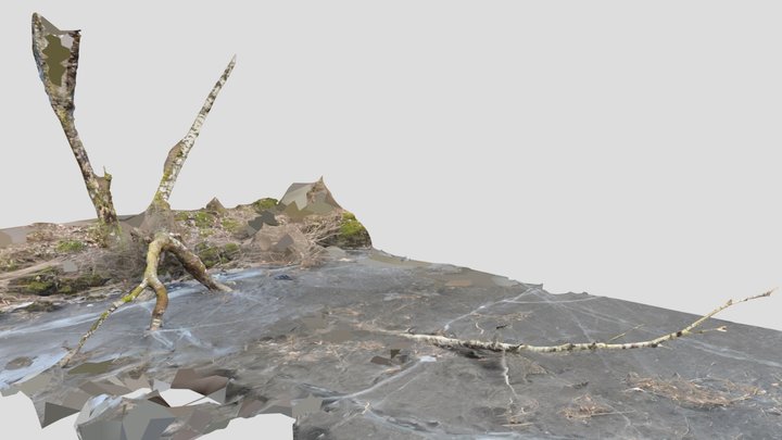 2026.02.09 norway ganddal tree frozen lake – Kostenloses 3D-Modell STL