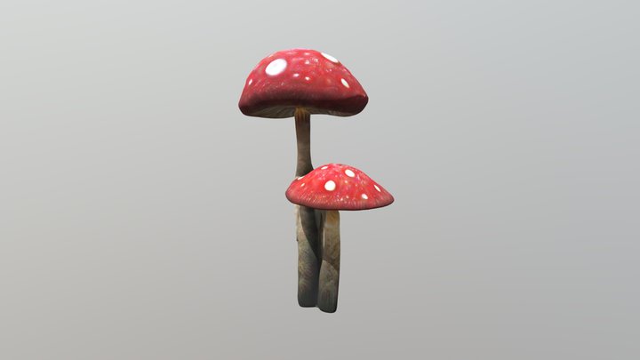 Tall Realistic Mushrooms 3D Model