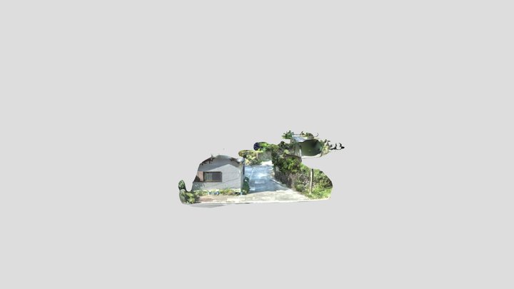 サンゴの石垣：阿伝05:T06 3D Model