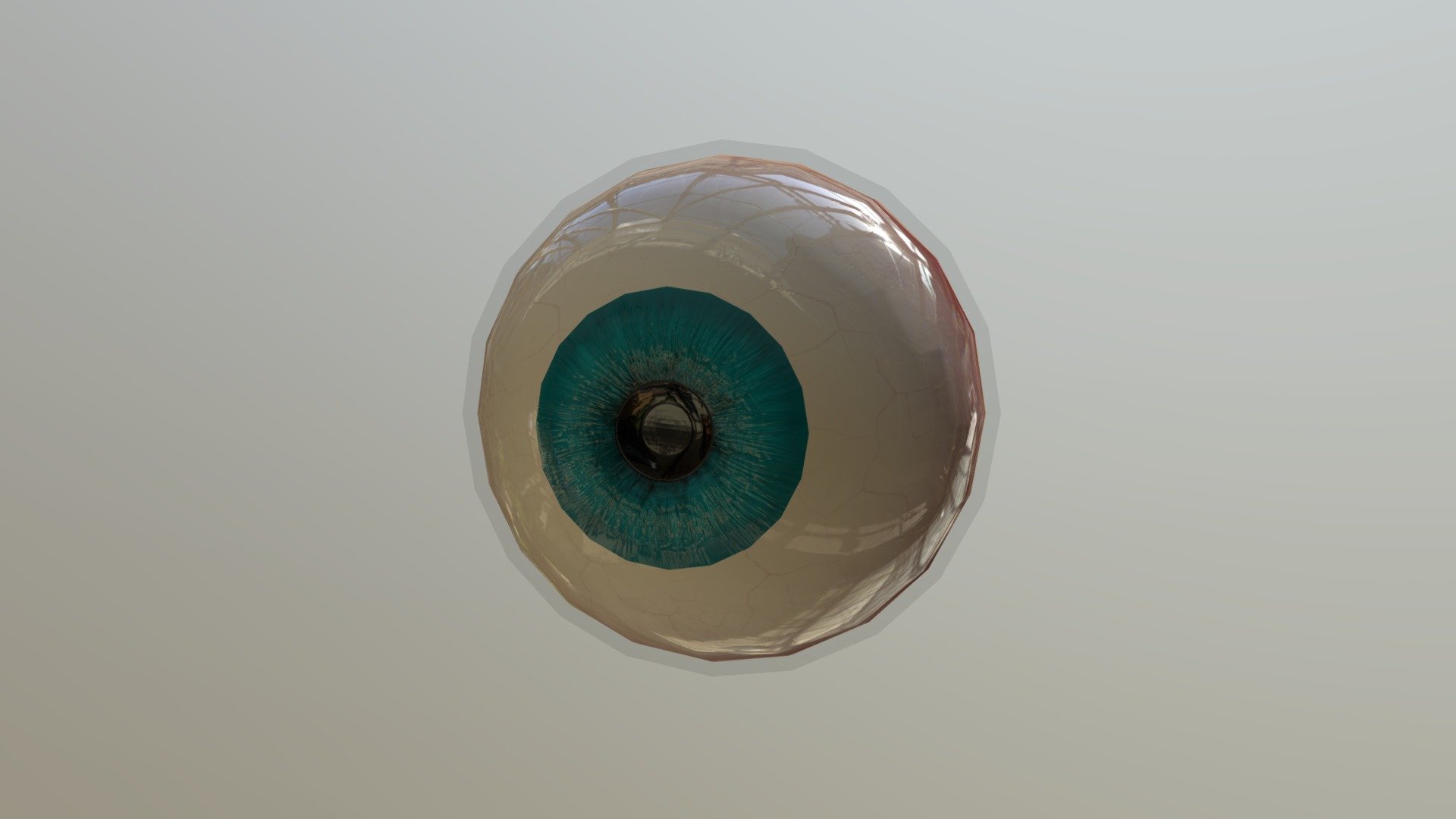 Eye - 3D model by Franck-Allen_Nguyen [eaf3174] - Sketchfab