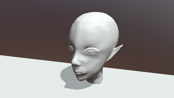 Head 3D Model