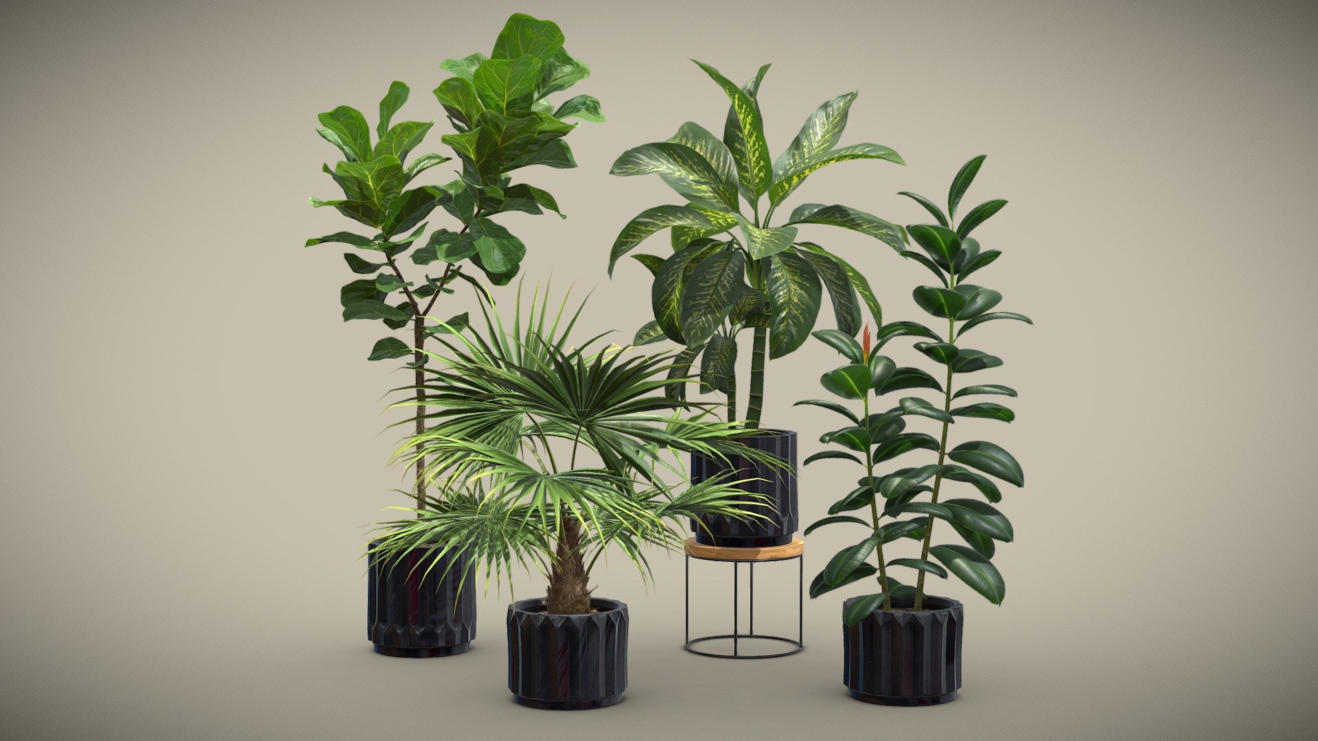 Indoor Plants Pack 45 Buy Royalty Free 3D Model By AllQuad Eaf8761   Ceef9415602a4569876d32638faff563 