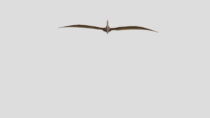 Flying Pterodactyl 3D Model