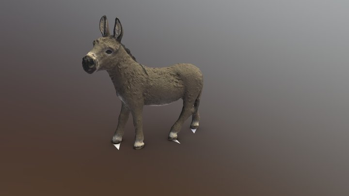 Donkey 3D Model