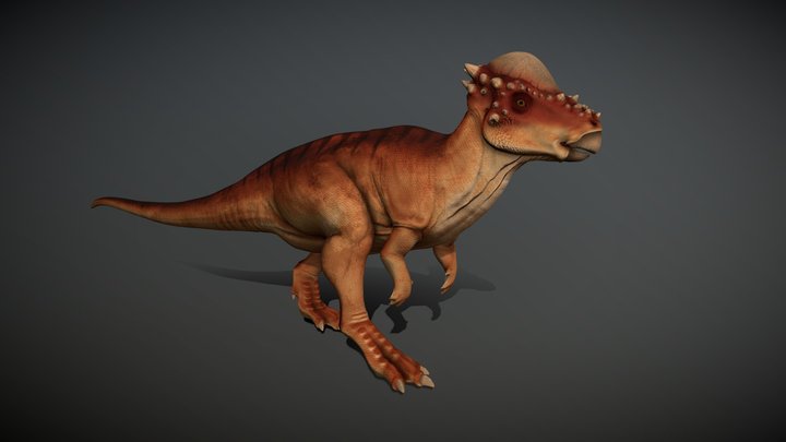 Pachycephalosaurus 3D Model