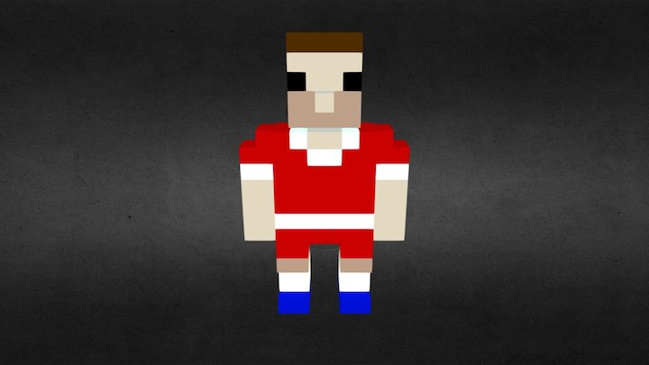 Voxel Player 3D Model