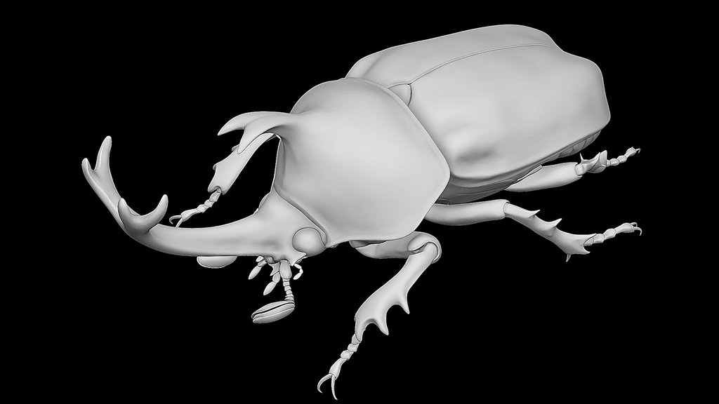 Trypoxylus dichotomus