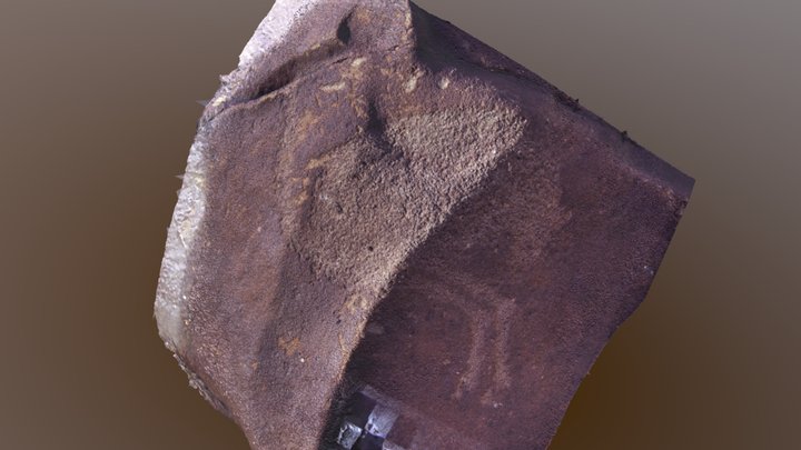 Jun20 Ostrich 3D Model