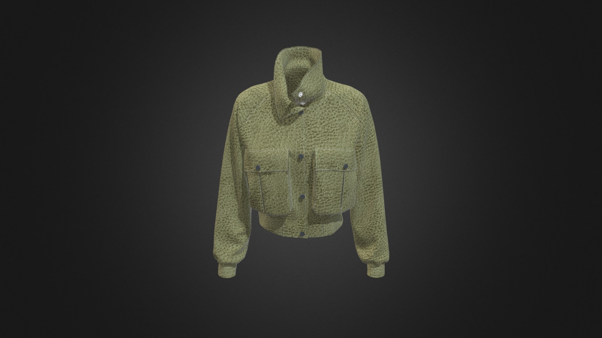 3D model Women Military Raglan Jumper - This is a 3D model of the Women Military Raglan Jumper. The 3D model is about a green jacket on a black background.
