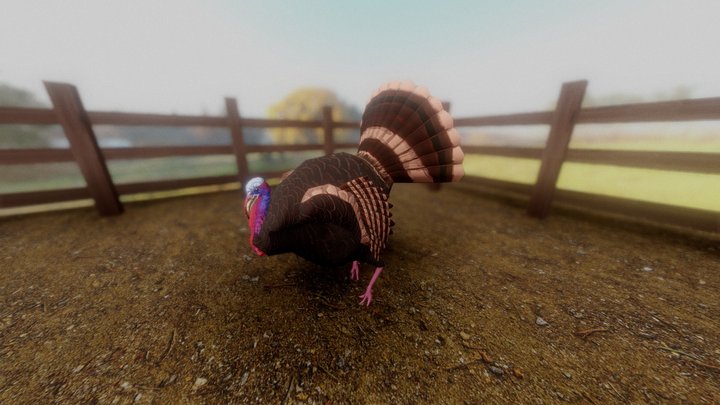 Turkey (Rigged) 3D Model