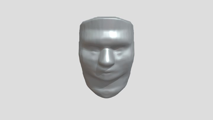 Portrait of a person 3D Model